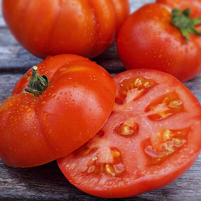 Tomate Rouge Précoce Early Siberian / Sibirskiy Skorospelyi