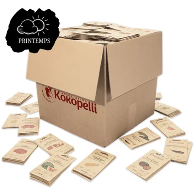 Sélection de printemps de 72 variétés pour le présentoir en bois double face pivotant