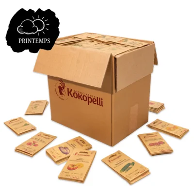 Sélection de printemps de 35 variétés pour le grand présentoir en carton