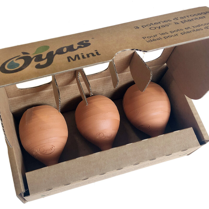 Adapting to drought - Pack of 3 Ollas to plant Mini