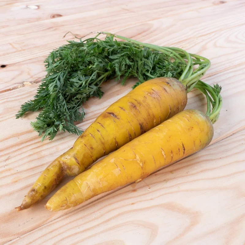 Carrots - Jaune du Doubs