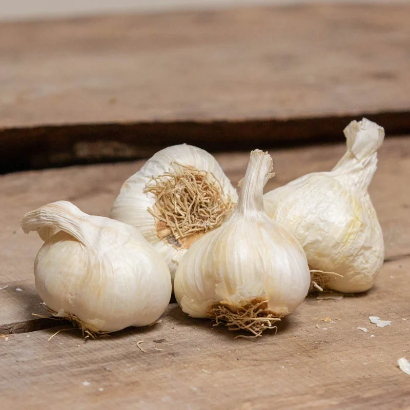 Garlic bulbs - White Garlic Bulbs "Messidrome" AB - 250 g - Allium sativum