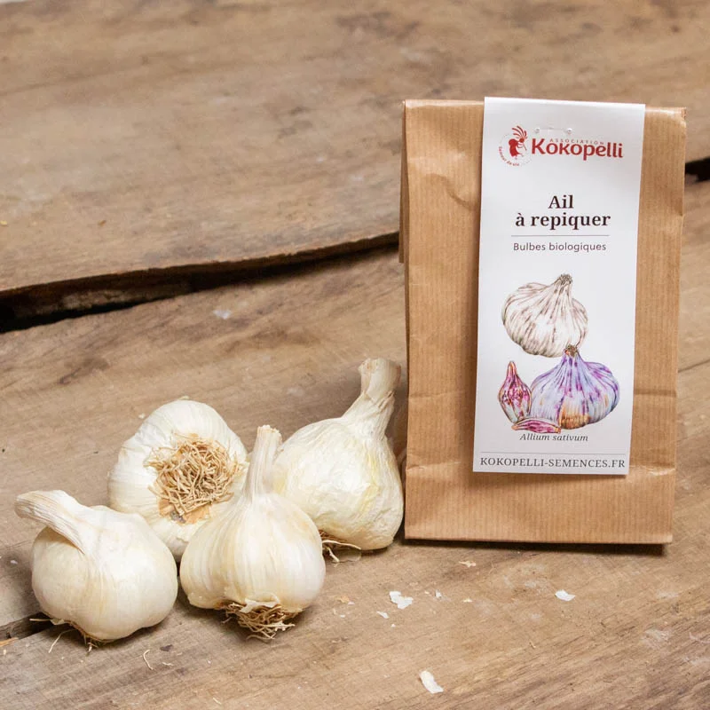 Garlic bulbs - White Garlic Bulbs "Messidrome" AB - 250 g - Allium sativum