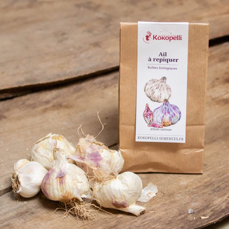 Garlic bulbs - White Garlic Bulbs "Thermidrome" AB - 250 g - Allium sativum