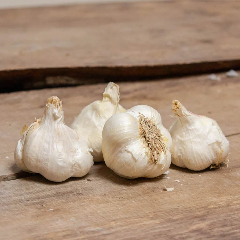 Garlic bulbs - White Garlic Bulbs "Messidor" AB - 250 g