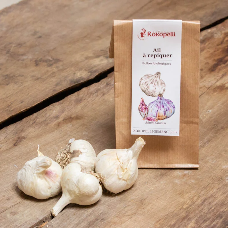 Garlic bulbs - White Garlic Bulbs "Messidor" AB - 250 g