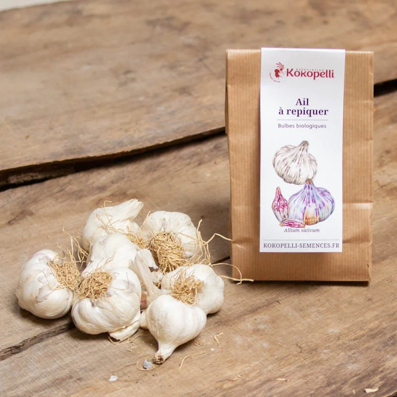 Garlic bulbs - White Garlic Bulbs "Precosem" AB - 250 g