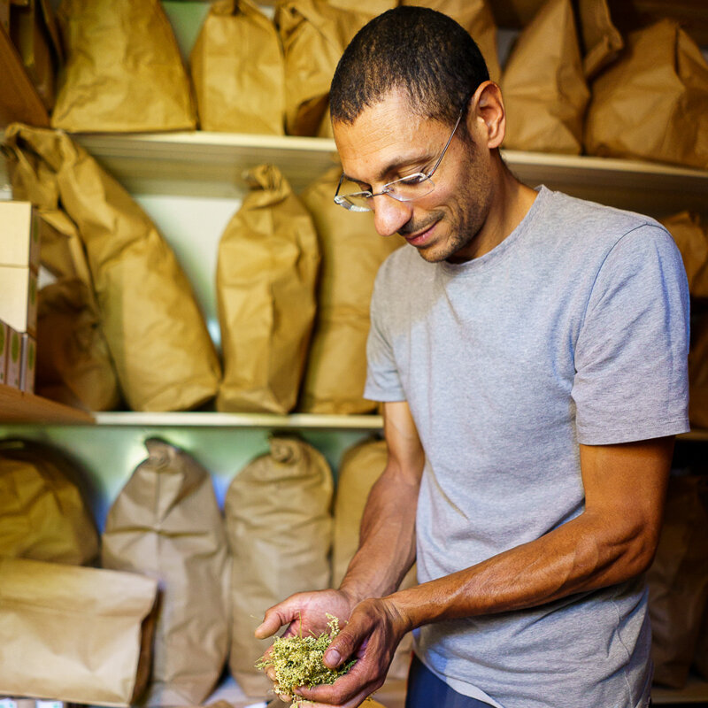 Workshops - Workshop - Identifying medicinal plants, creating infusions - 3h Workshop - Identifying medicinal plants, creating infusions - 3h (Saturday, August 10, 2024 at 9:30 am)