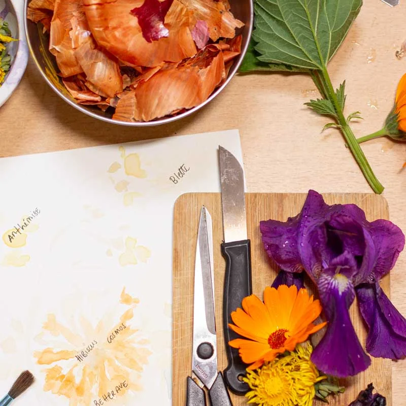 Workshops - Workshop - Workshop - Vegetal Painting &amp; Natural Watercolors- 3h Workshop - Saturday, August 9, 2025 at 9:30 a.m.