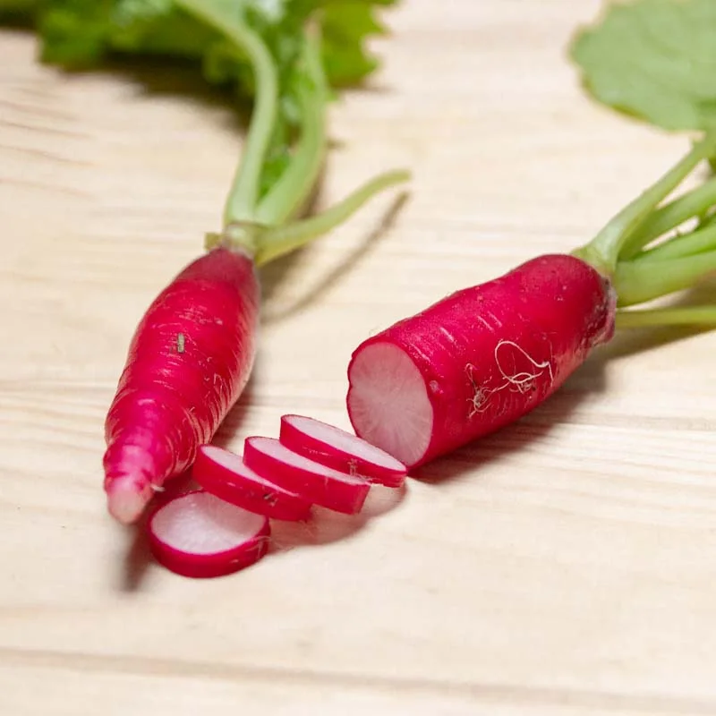 Radish - Easter Rose