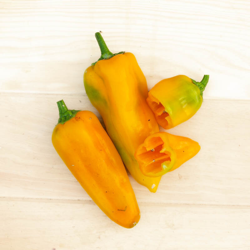 Peppers - Yella Bella