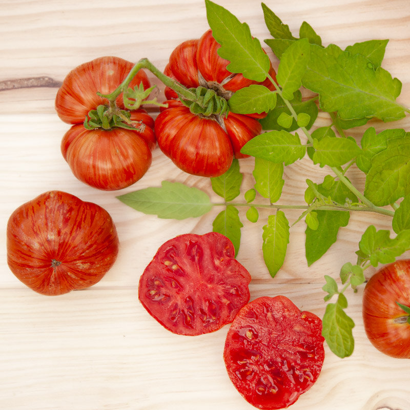 Tomatoes - Dwarf Cherokee Tiger Large Red