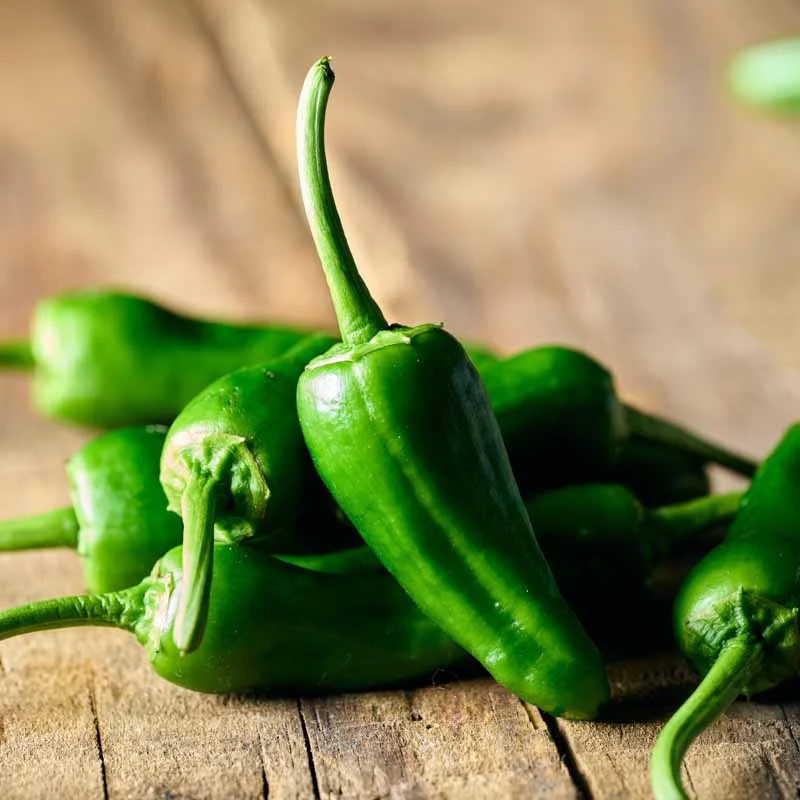 Peppers - Padron