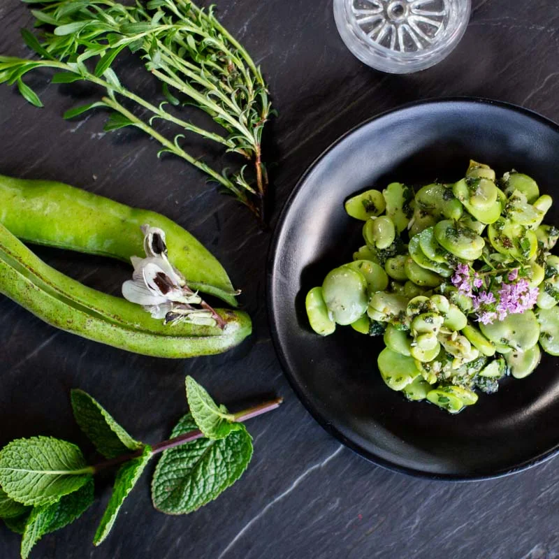 Broad bean - Witkiem