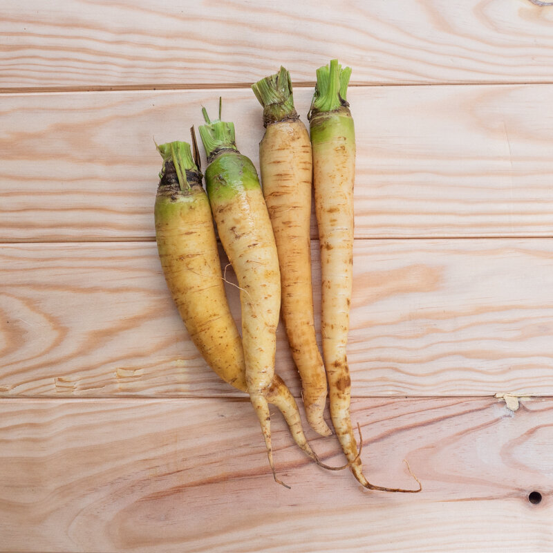 Carrots - Küttingen White