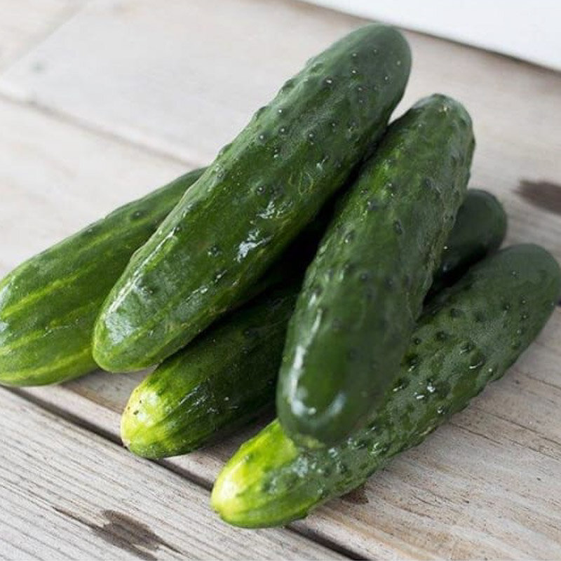 Cucumber - Alan's Long Green