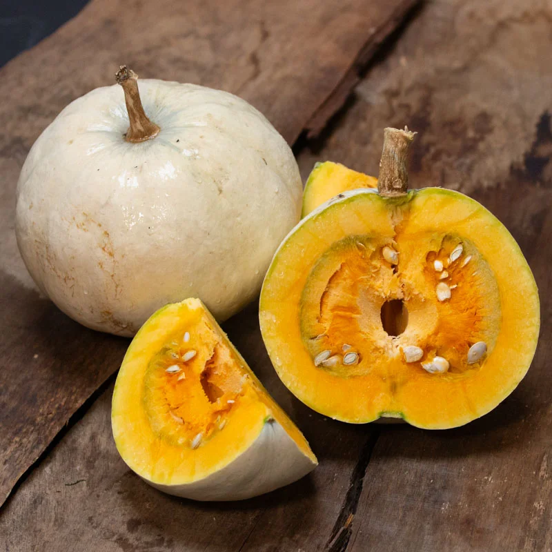 Maxima squash - Lumina