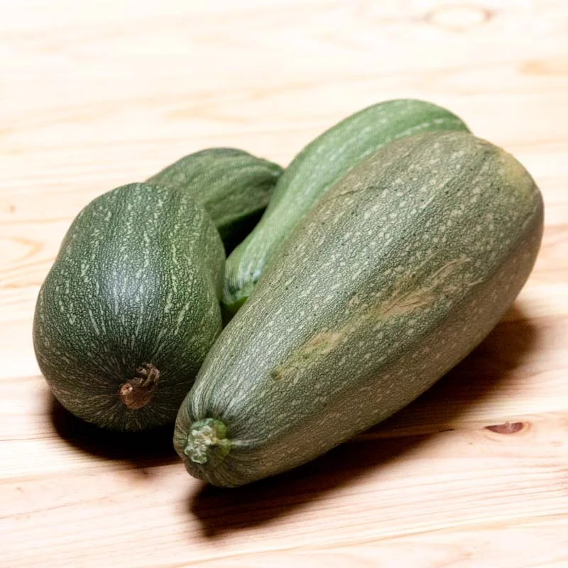 Zucchinis - Ortolana Di Faenza