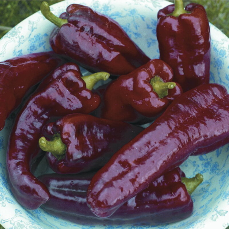 Peppers - Italian Red Marconi