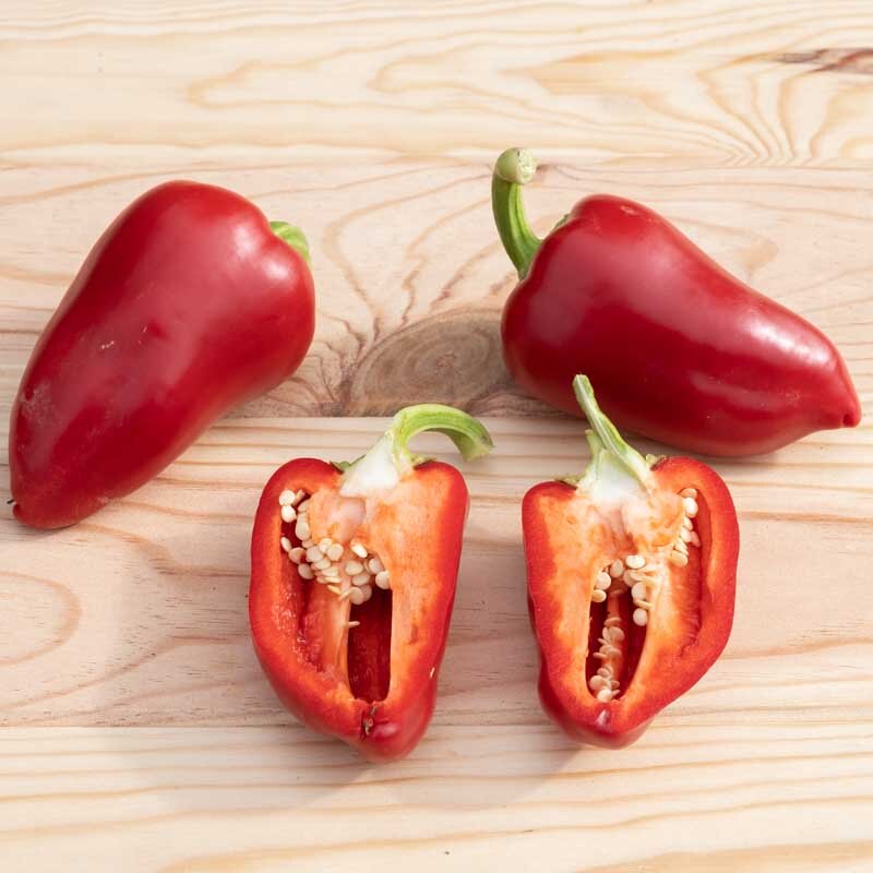 Peppers - Antohi Romanian