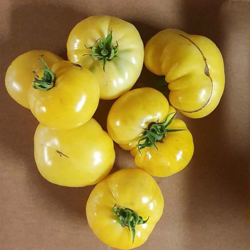 Tomatoes - Big Sky Brandy