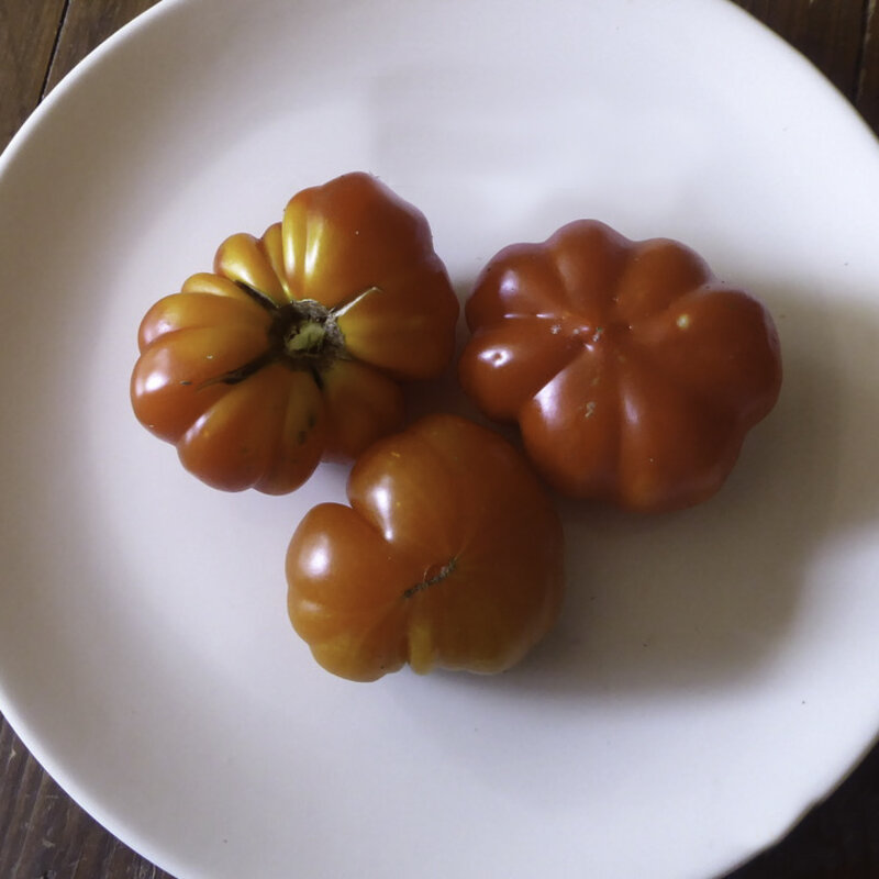 Tomatoes - Rosso Sicilian