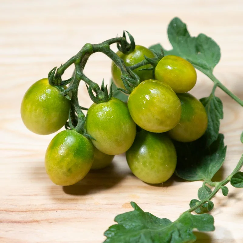Cherry tomatoes - Verde Claro