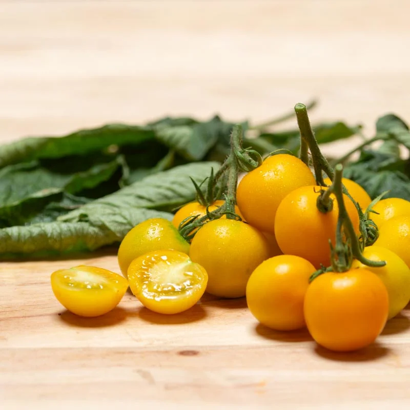 Tomatoes - Yellow Perfection