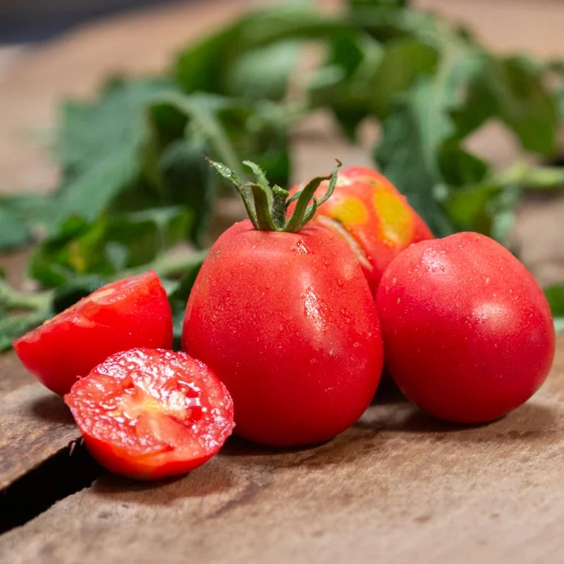 Tomatoes - Ukrainian Pear