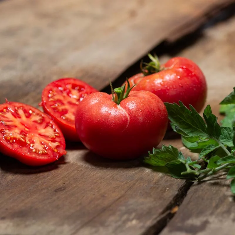 Tomatoes - Livingston's Beauty