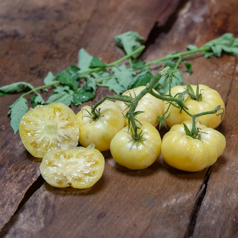 Tomatoes - White Wonder