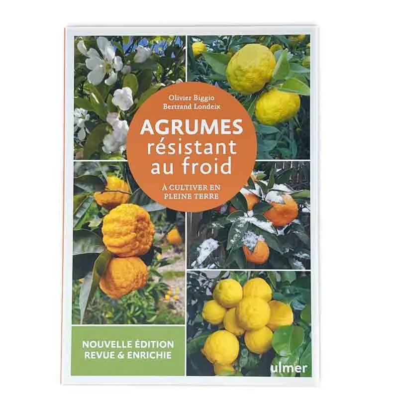 Trees & orchards - Cold-hardy citrus - To be grown in the ground