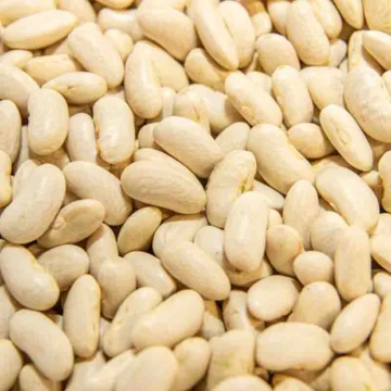 Cannellini
