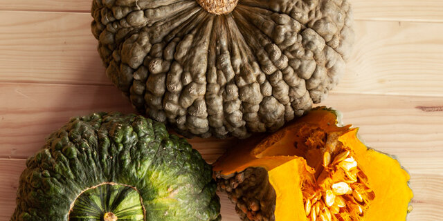 Heirloom Marina Di Chioggia Maxima squash Organic Seeds