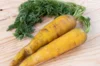 Carrots - Jaune du Doubs