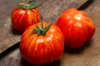 Tomatoes - New Shirmer Stook
