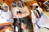 Workshops - Workshop - Introduction to beekeeping - 3h Tuesday, July 8, 2025 at 9:30 a.m.