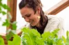 Workshops - Kokopelli workshop - Manual pollination - 3h Workshop - Friday, August 8, 2025 at 9:30 a.m.