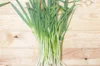 Welsh onion - Kyoto Kujo Negi