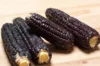 Corn - Black Aztec