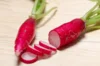 Radish - Easter Rose