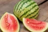 Watermelons - Di Bagnacavallo