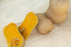 Moschata squash - Butternut Brûlée
