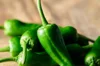 Peppers - Padron
