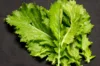 Indian mustard - Green In Snow