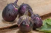 Eggplants - Kono