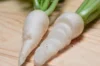 Radish - Zürich Market