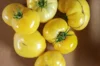 Tomatoes - Big Sky Brandy