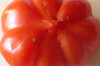 Tomatoes - Rosso Sicilian