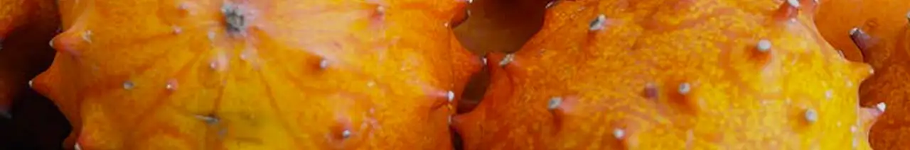 Kiwano